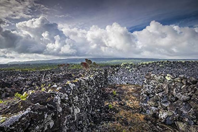 Posterazzi PDDEU23WBI0798 Portugal, Azores, Pico Island, Arcos. Vineyards Made of Volcanic Stone Photo Print, 18 x 24, Multi 160678668