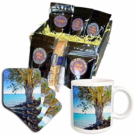 3dRose Eucalyptus Tree on the Pacific Coast - Coffee Gift Baskets (cgb-361506-1) 898603841