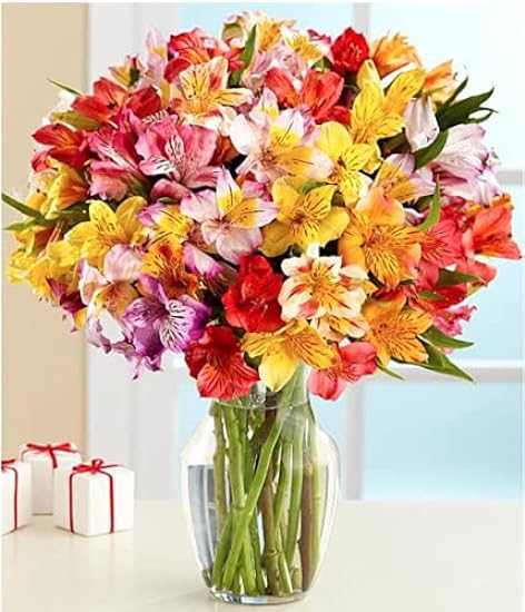 BloomsyBox: 24 Multicolored Alstroemeria Bouquet Flowers, Two Dozen, Long Lasting & Hand-Tied, Farm Fresh Cut Flowers Bouquet, birthday flowers,anniversary Flowers | No Vase 968906067