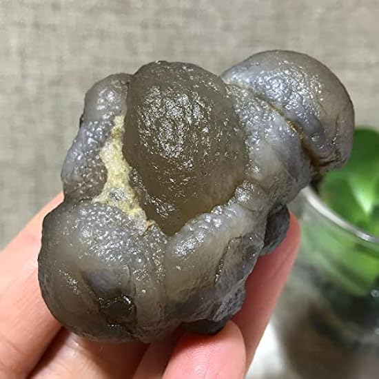 73g Bonsai Suiseki-Natural Gobi Agate Eyes Stone-Rare S