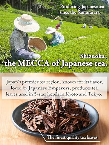 Sunrise Tea - Japanese Diet & Detox Green Tea for Gut Health [10 billion Lactobacillus & Bifidobacteria / 1 cup] Houjicha, Kombucha, Guar Gum, Dietary Fiber [Non-Laxative & Caffeine-free] 1 box, 1 month´s supply 701716960
