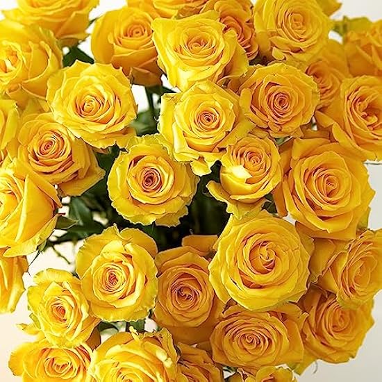 Yellow Passion Roses Flower Bouquet - Beautiful Yellow 