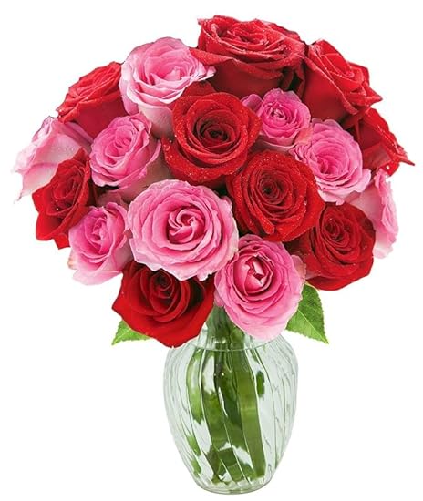 KaBloom PRIME NEXT DAY DELIVERY - Red and Pink Roses 24 with Greens Bouquet, with Vase.Gift for Birthday, Sympathy, Anniversary, Get Well, Thank You, Valentine, Mother’s Day Fresh Flowerse 44257283