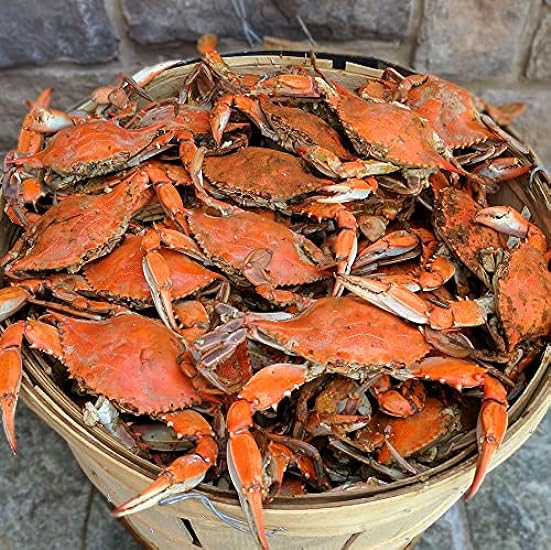 Cameron´s Seafood Maryland Blue Crabs Males Jimmys